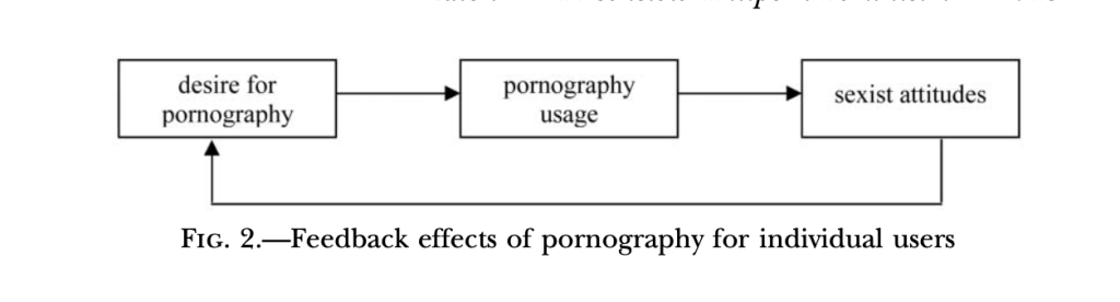 figure 2 - Feedback effects of pornography for individual users: Desire for pornography, pornography usages, sexist attitudes